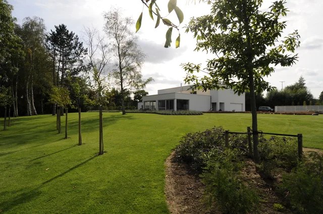 Moderne woning met witte gevel en grote raampartijen, gezien vanaf de aangelegde voortuin met jonge bomen