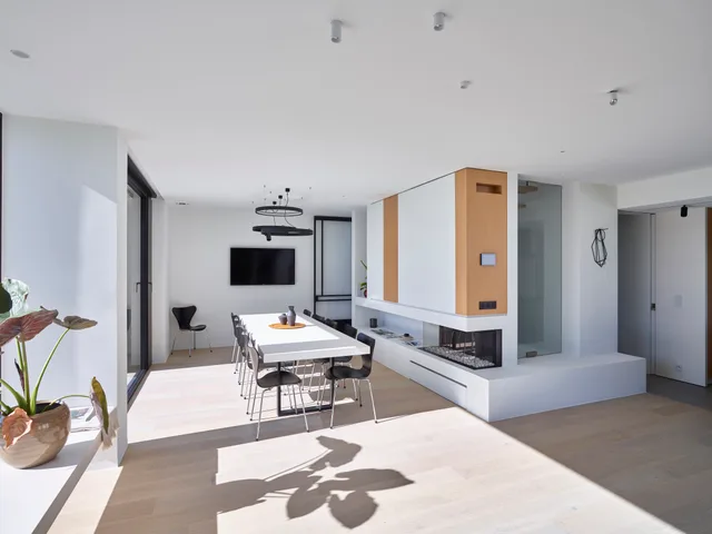 Open leefruimte met eethoek, TV-zone en haard, minimalistisch ingericht met houtaccenten