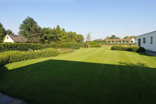 Ruim gazon met haag en bomen op een villaterrein met woning aan de rechterkant