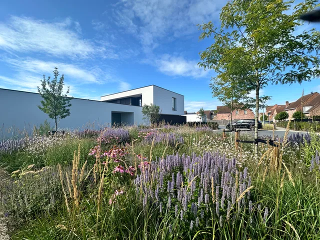 Moderne woning met witte gevel en grote raampartijen, omgeven door een bloemenrijke tuin met lavendel en vaste planten
