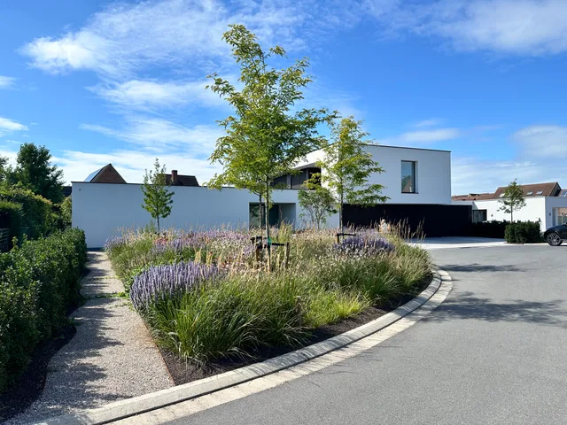 Moderne woning met witte gevel, grote raampartijen en voortuin met grassen en lavendel