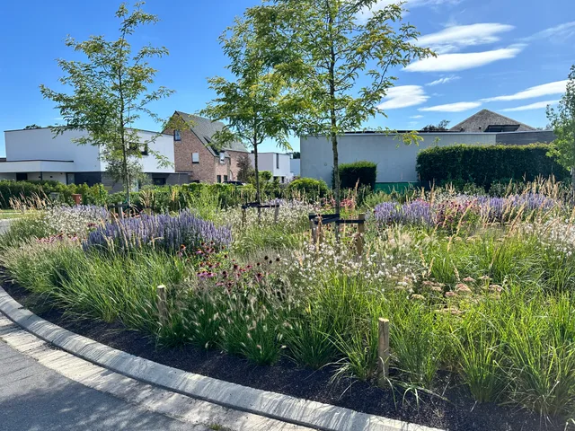 Verkaveling met moderne woningen en aangelegde voortuin met siergras en vaste planten