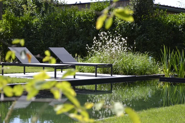 Moderne tuin met waterpartij, loungers en begroeide borders achter haag