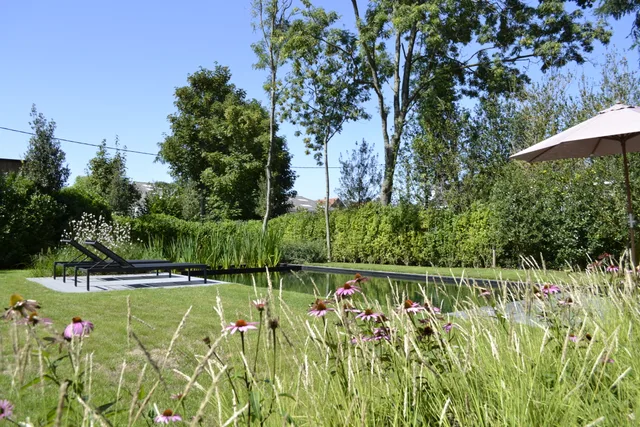 Tuinvijver met loungebed, poel omgeven door beplanting en bloeiende planten