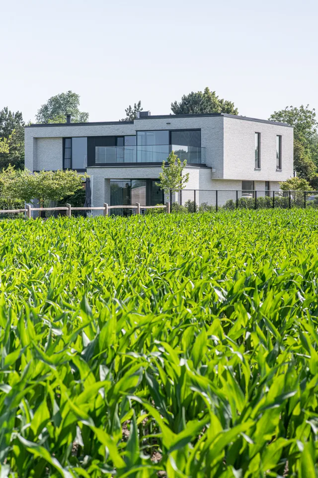 Moderne grijze nieuwbouwwoning met grote raampartijen en terras, gelegen aan de rand van een maisveld