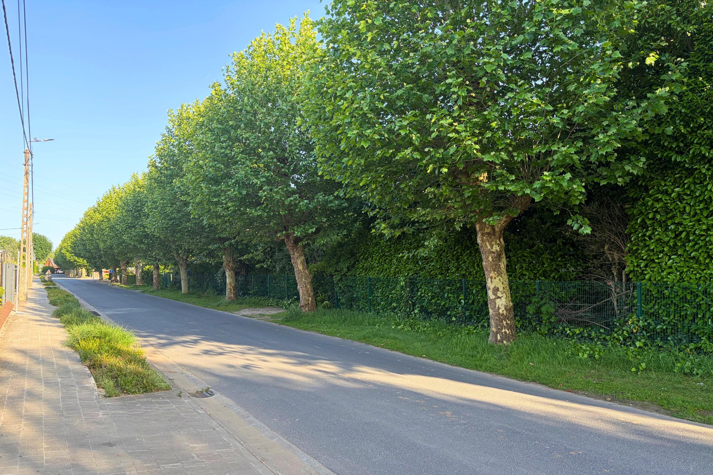bouwgrond in Waregem, foto 2